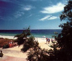 Acacia Caravan Park - St Kilda Accommodation 0