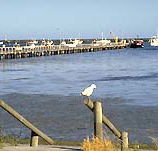 Seaview Motel and Holiday Units - St Kilda Accommodation
