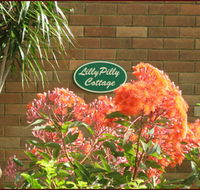 Lillypilly - St Kilda Accommodation