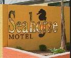 Seahorse Motel - St Kilda Accommodation 1