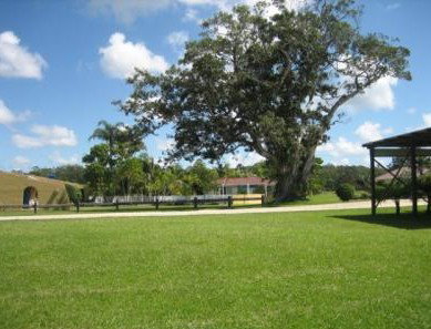 The Nambucca Motel - St Kilda Accommodation 5