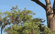 Lakeview Apartments Kununurra - thumb 3