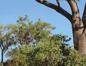 Lakeview Apartments Kununurra - St Kilda Accommodation 3