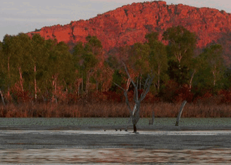 Lakeview Apartments Kununurra - St Kilda Accommodation 4