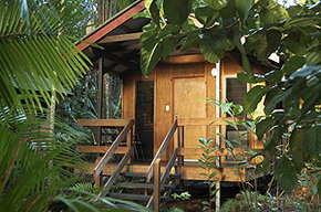 Cape Tribulation QLD St Kilda Accommodation