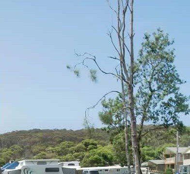 Merry Beach Caravan Park - St Kilda Accommodation 2