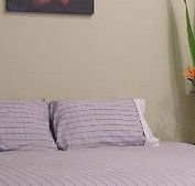Stingo Hotel - St Kilda Accommodation