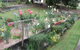 Kintail Homestay - thumb 0