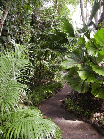 Rainforest Grove Holiday Resort - St Kilda Accommodation 1