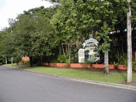 Rainforest Grove Holiday Resort - St Kilda Accommodation 2