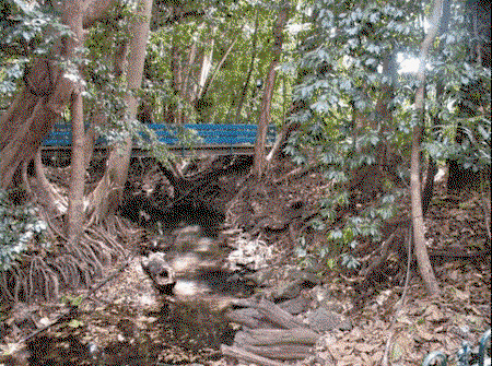 Rainforest Grove Holiday Resort - St Kilda Accommodation 3