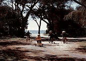 Acacia Caravan Park - St Kilda Accommodation 4