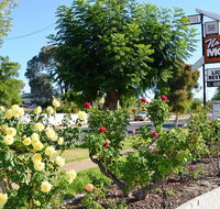 Narrogin Motel - St Kilda Accommodation