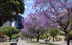 Mountway Holiday Apartments - thumb 3