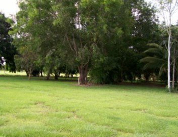 Daly River Mango Farm - St Kilda Accommodation 1