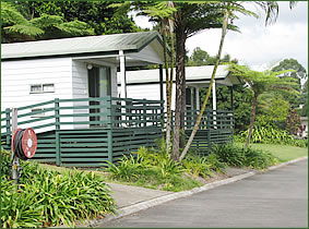 Palmwoods Caravan Park - St Kilda Accommodation 1