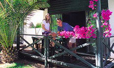 Desert Palms Resort - St Kilda Accommodation 3