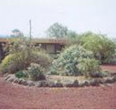 Beaufort Motel - St Kilda Accommodation