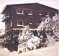 Elk at Falls - St Kilda Accommodation