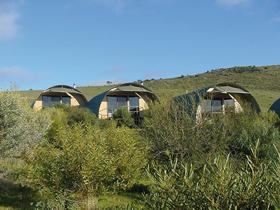 Saunders Gorge Sanctuary - Lodges - St Kilda Accommodation 0