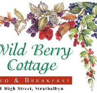 Wild Berry Cottage - St Kilda Accommodation