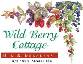 Wild Berry Cottage - St Kilda Accommodation 0