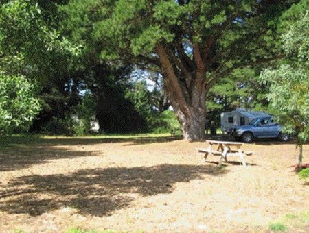 Millicent Hillview Caravan Park - St Kilda Accommodation 1