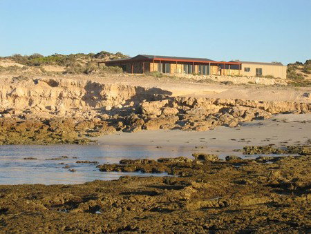 Tiliqua Sunrise - St Kilda Accommodation 3