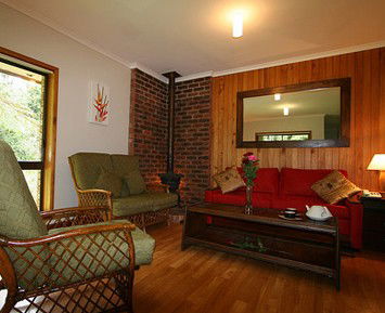 The Canopy Rainforest Tree Houses And Wildlife Sanctuary - St Kilda Accommodation 1