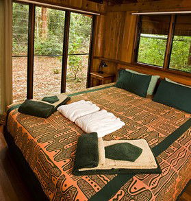 The Canopy Rainforest Tree Houses And Wildlife Sanctuary - St Kilda Accommodation 2