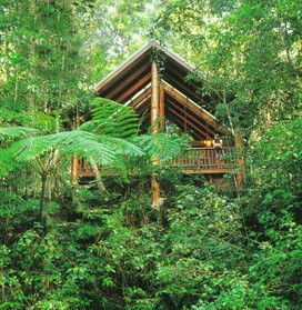 The Canopy Rainforest Tree Houses And Wildlife Sanctuary - St Kilda Accommodation 5