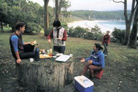 Fortescue Bay TAS St Kilda Accommodation