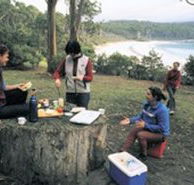 Fortescue Bay Camping Ground - St Kilda Accommodation