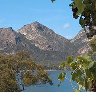 Freycinet on the Bay - St Kilda Accommodation