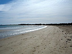 Book Greens Beach Accommodation Vacations St Kilda Accommodation St Kilda Accommodation