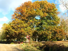 Retreat TAS St Kilda Accommodation