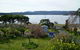 Rocking Horse Cottage - thumb 0