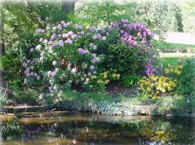 North East Restawhile Bed & Breakfast - St Kilda Accommodation 1