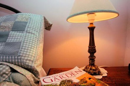 Wilmot Arms Inn - St Kilda Accommodation 4