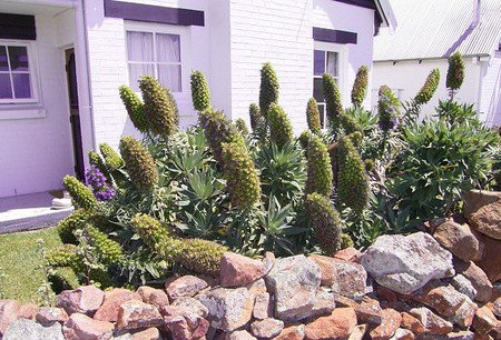 Lester Cottages Complex - St Kilda Accommodation 2