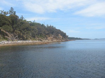Bruny Island Villas - Wayaree - St Kilda Accommodation 1