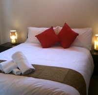 Bruny Island Accommodation Services - Echidna - St Kilda Accommodation 2