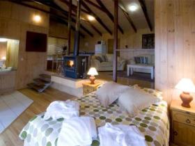 Treetops Seaview Montville - St Kilda Accommodation 0
