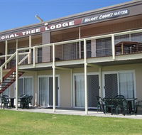 Coral Tree Lodge Tourist Park - St Kilda Accommodation