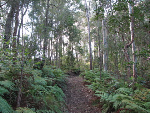 Maleny Country Cottages - St Kilda Accommodation 1