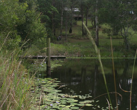 Maleny Country Cottages - St Kilda Accommodation 4