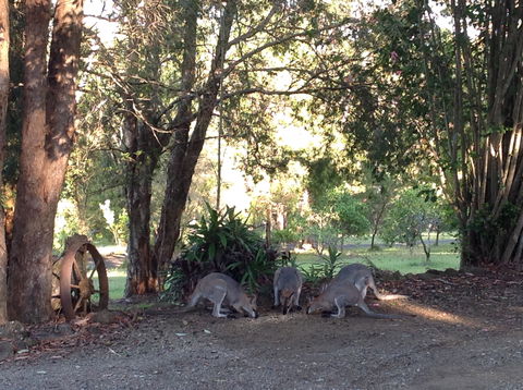 Maleny Country Cottages - St Kilda Accommodation 5