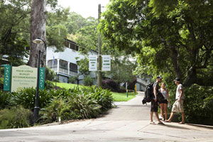 Halse Lodge Backpackers Hostel YHA - St Kilda Accommodation 0