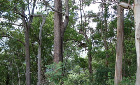 Bamboo Retreat - St Kilda Accommodation 1