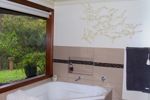 Bellbird Cottage Bed And Breakfast - St Kilda Accommodation 3